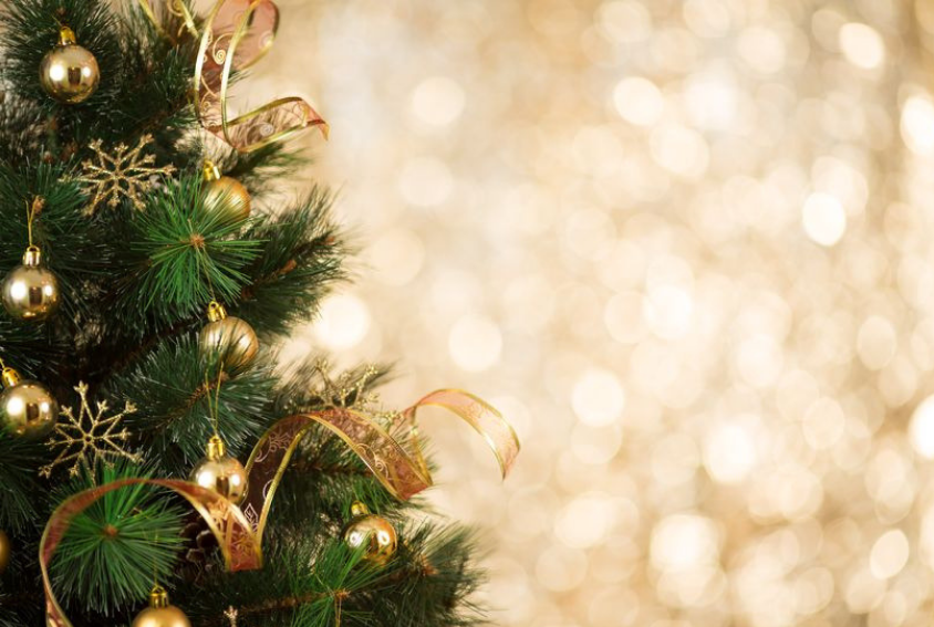 Christmas Tree and Gold Shimmer Backdrop