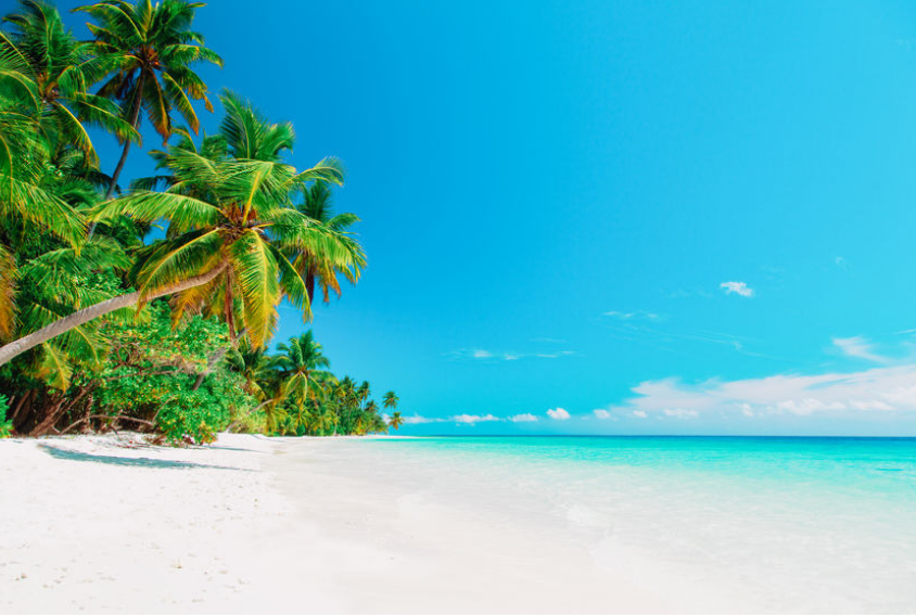 Tropical Paradise Beach Backdrop