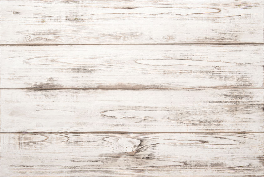 White Wood Panel Backdrop